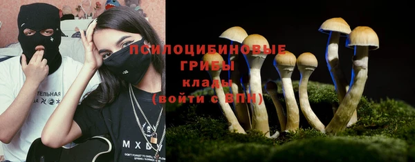 мяу мяу мука Аркадак