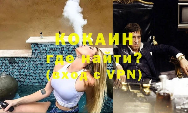 шишки Армянск