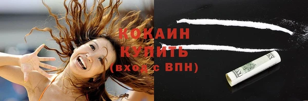 прущие грибы Сосновый Бор