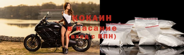 шишки Армянск