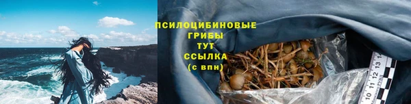 шишки Армянск