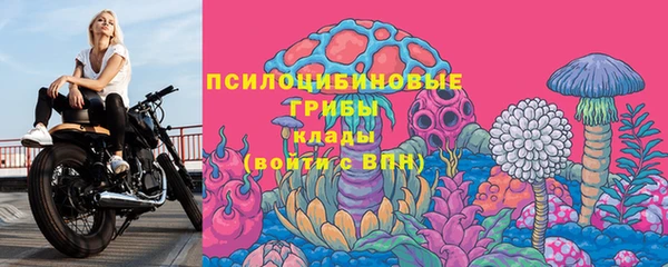 мяу мяу мука Аркадак